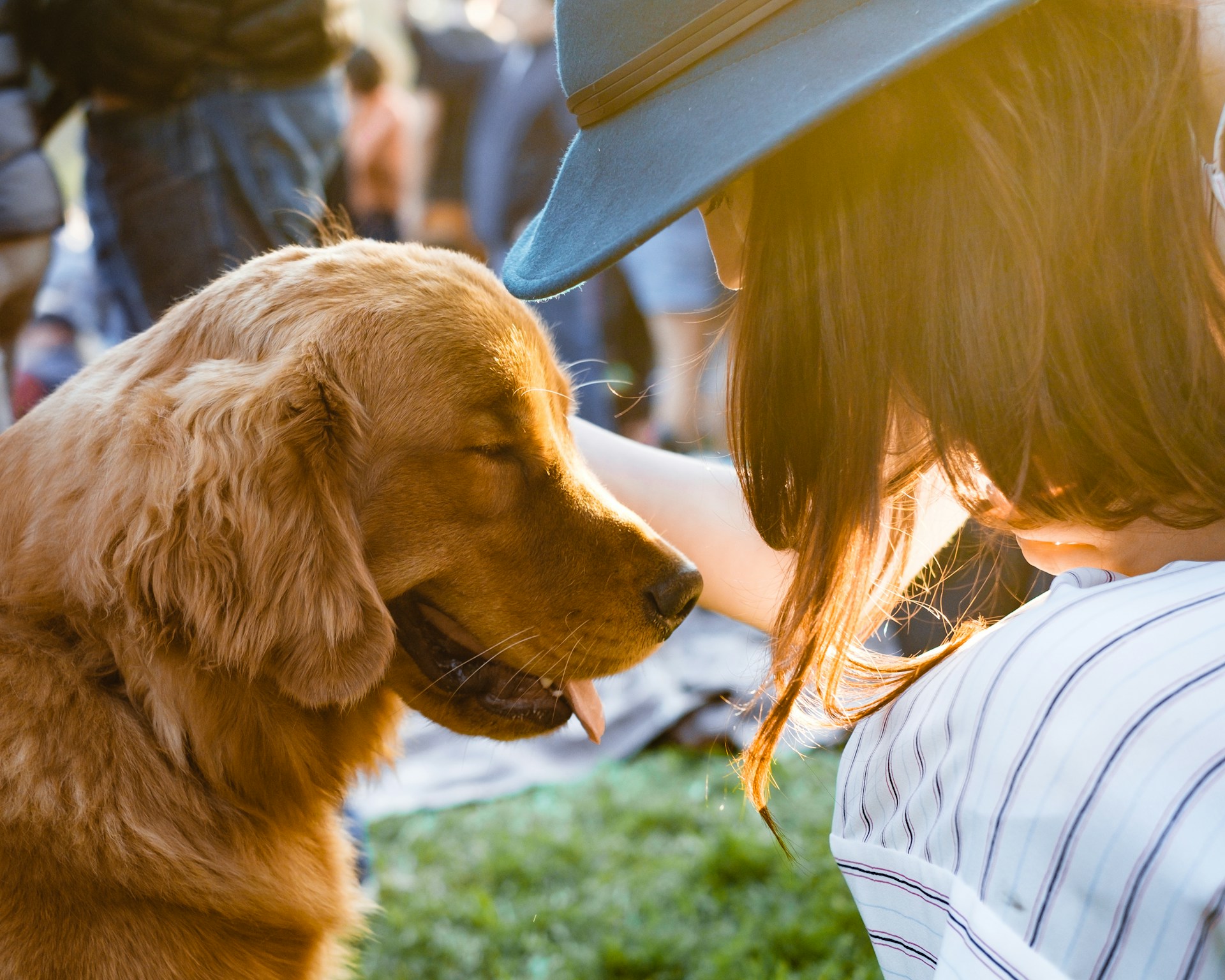 Viatges amb mascota? Llocs i platges pet-friendly on anar