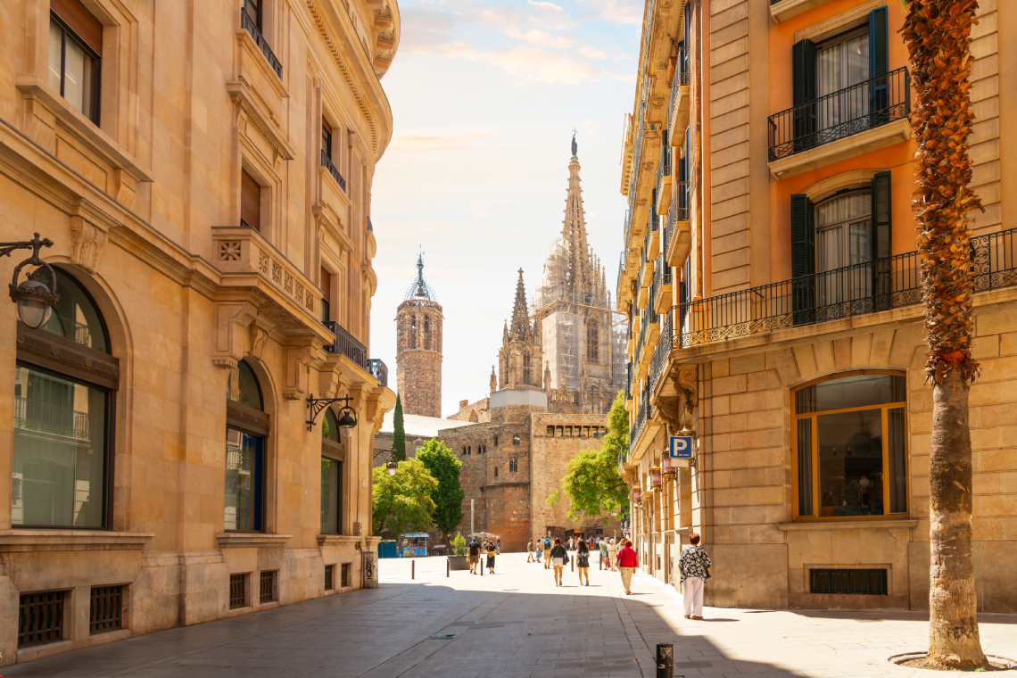 Carreró del gòtic amb la catedral de fons.