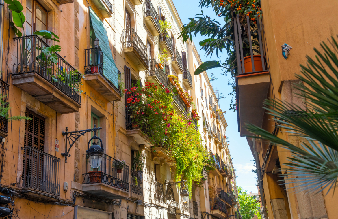 Imatge d'un carrer florit a primavera ideal per si busques allotjament a Barcelona.