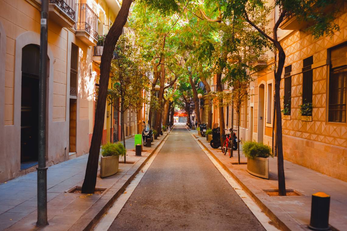 Image of a narrow street in Barcelona, with trees and flower pots.