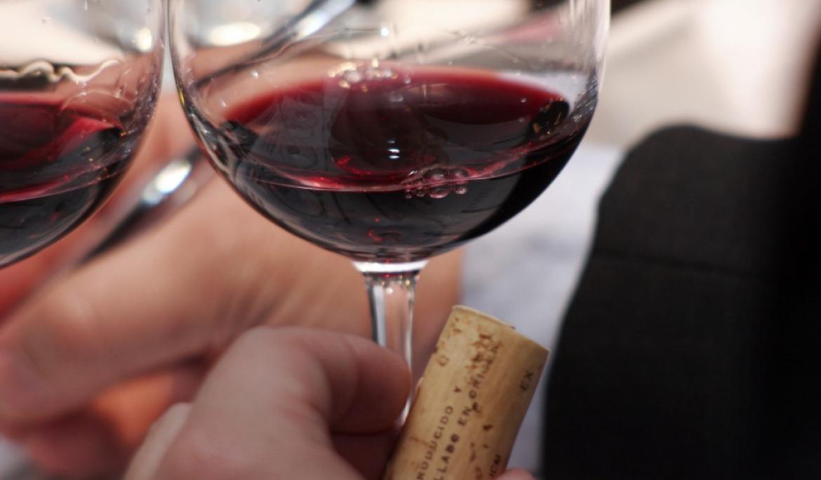 Una de las bodegas del Penedès / Foto: TMB