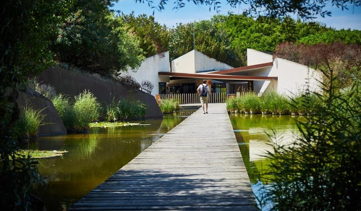 Imagen del jardín Botánico de Barcelona