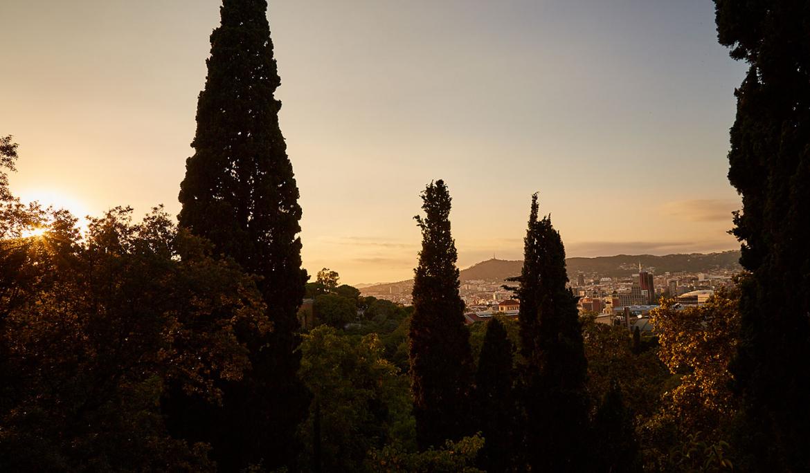 Jardins de Laribal / Photo: TMB