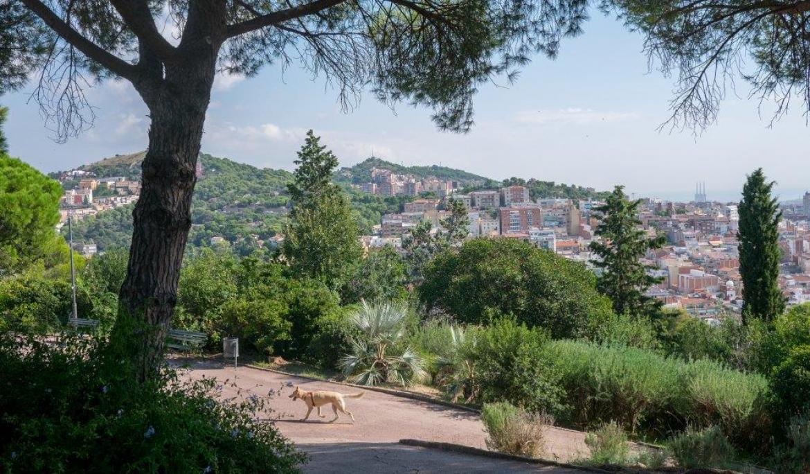 Parc del Turó del Putxet / Photo: Taavi Randmaa - CC
