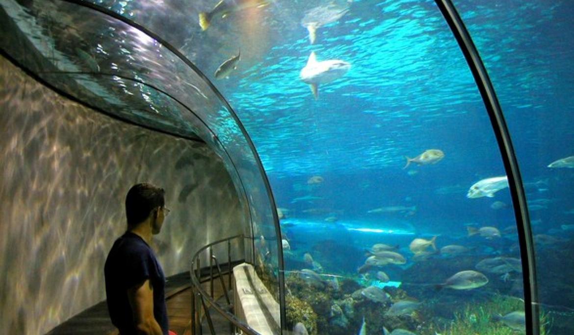 L'Aquàrium de Barcelona, un dels més grans d'Europa