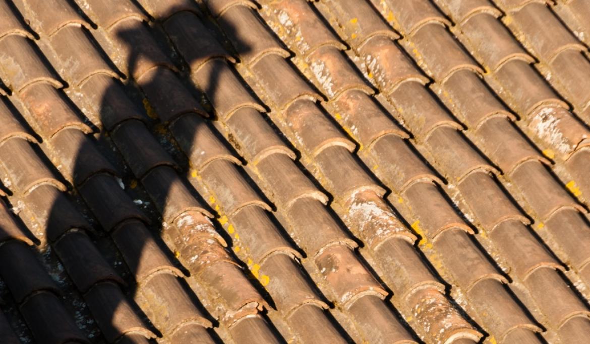 Barcelona shadows / Photo: TMB