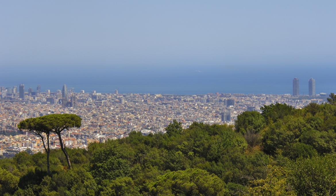 Collserola és un dels miradors amb les vistes més impressionants de la ciutat / Foto: Robert Peña via Arxiu parc de Collserola