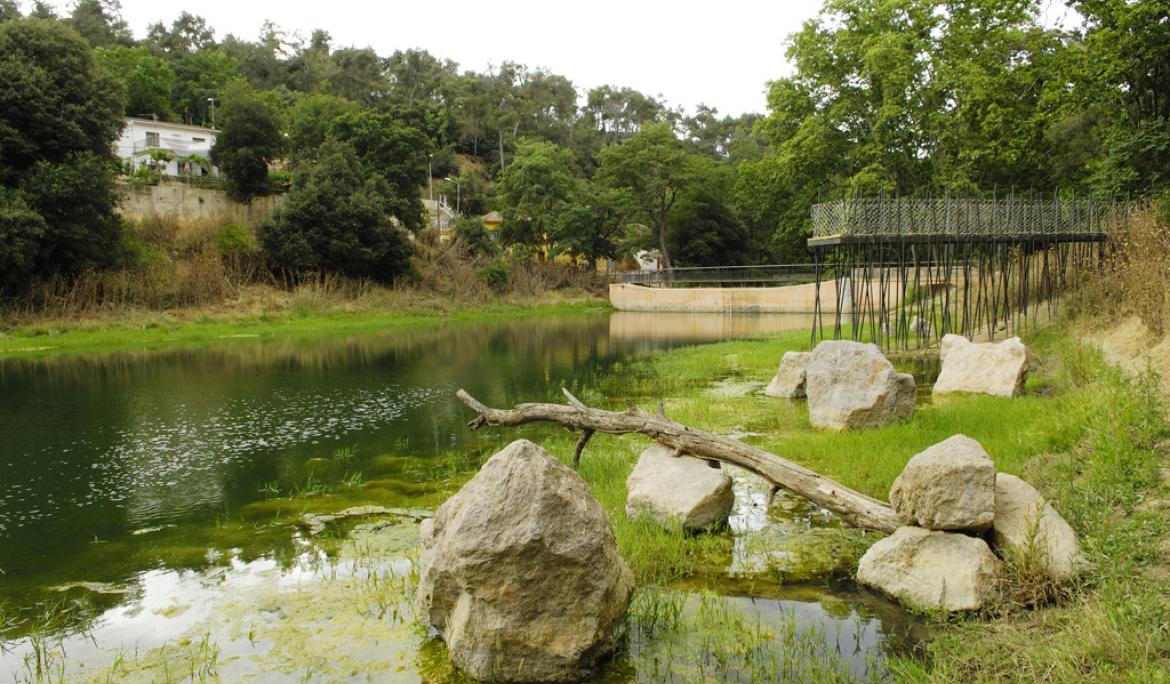 El pantà de Vallvidrera es va construir entre 1850-1860 per a garantir el subministrament d'aigua al municipi de Sarrià / Foto: Robert Peña via Arxiu parc de Collserola