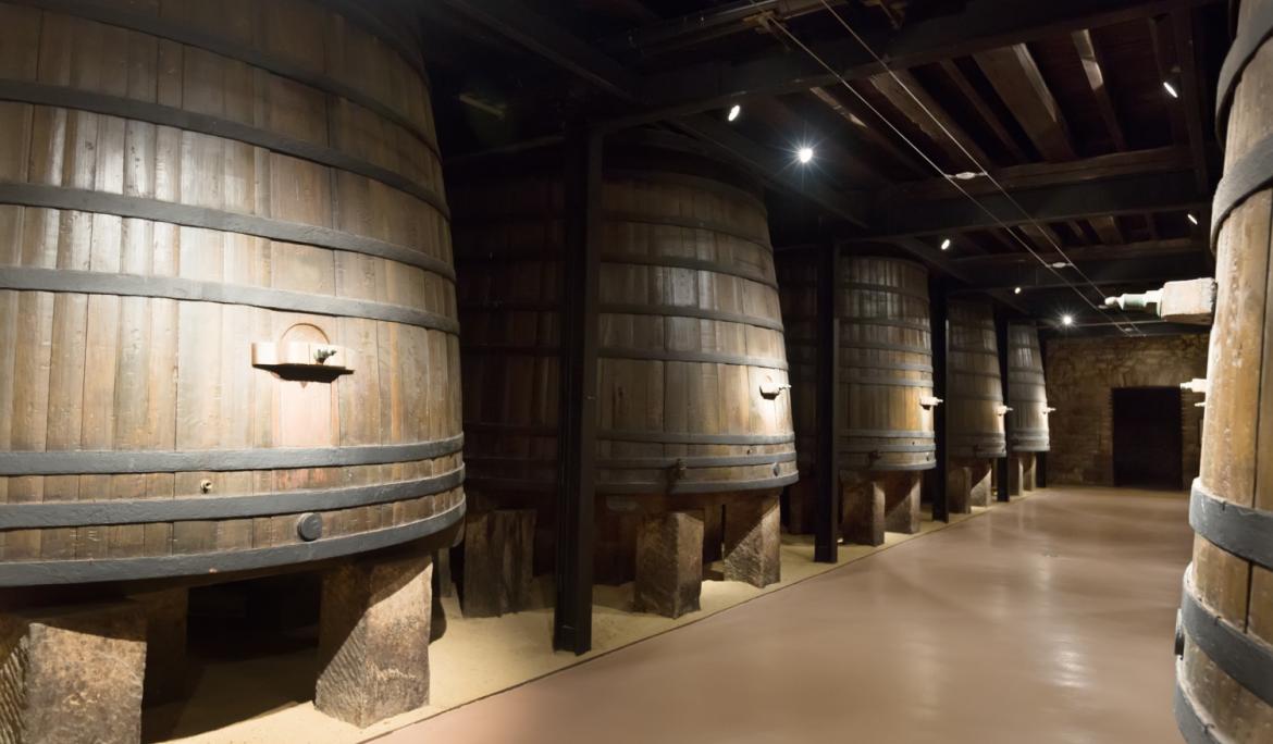 There are experiences that allow you to learn about wineries and wine production / Photo: Bearfotos via Freepik