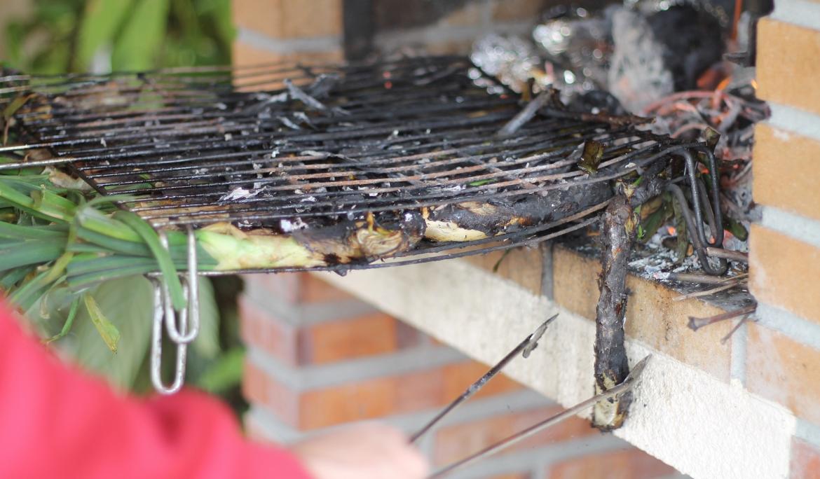 Calçots a la brasa, la forma ideal para cocinarlos / Foto: E1N7E vía Pixabay