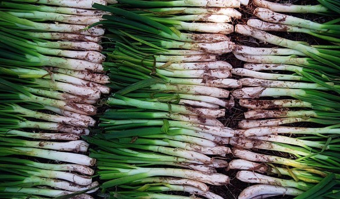 Una tradición gastronómica con mucha historia / Foto: Laia Solanellas, CC BY 2.0 , vía Wikimedia Commons