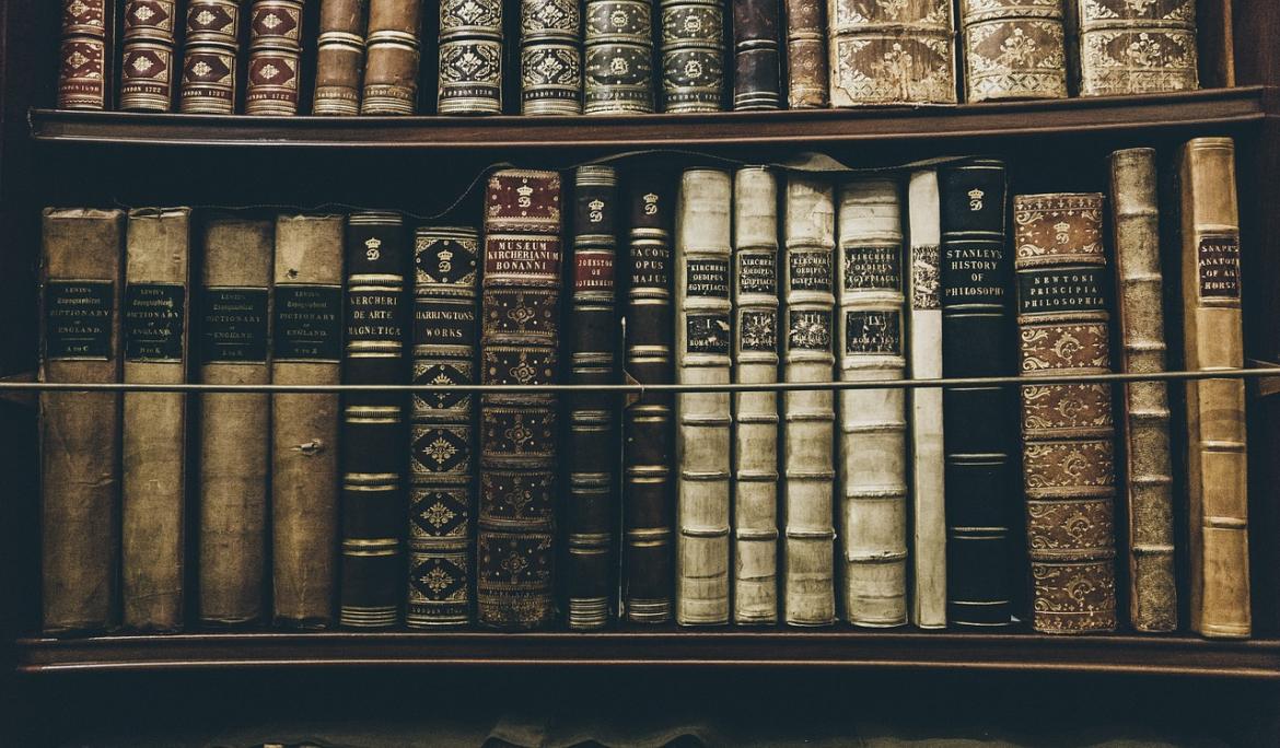 ¡Visita las librerías más emblemáticas de la ciudad! / Foto: StockSnap via pixabay