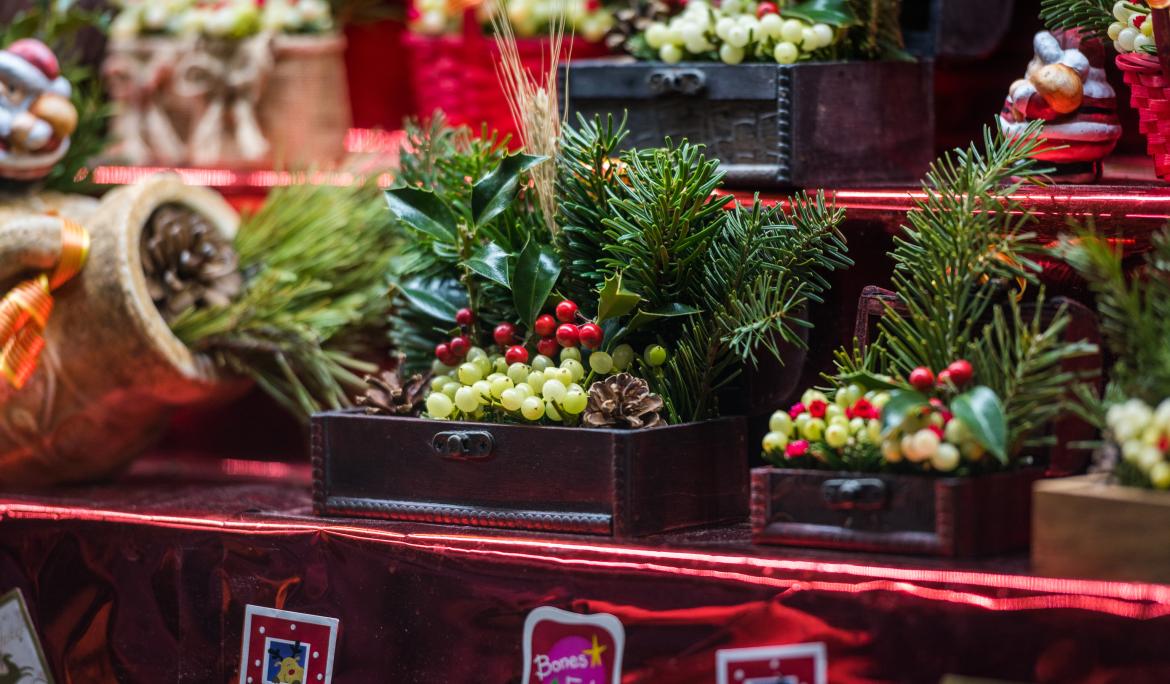 The "Fira de Santa Llúcia" 2023 is the oldest Christmas fair in Catalonia and has become a Christmas symbol in Barcelona / Photo: TMB