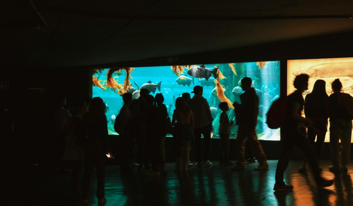 Ubicado en el corazón de Barcelona, ​​CosmoCaixa es una parada imprescindible para todos los amantes de la ciencia / Foto: Mario Esposito via Unsplash