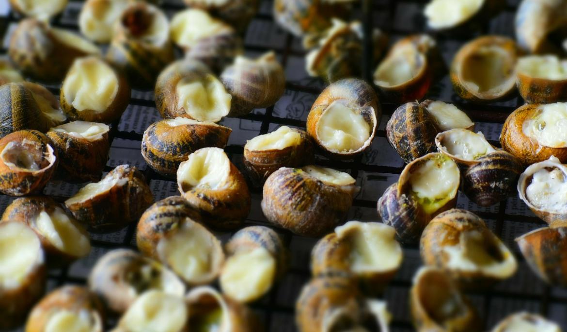 Cargols a la llauna are a specialty/ Photo: catalanacapdexai66 via Pixabay
