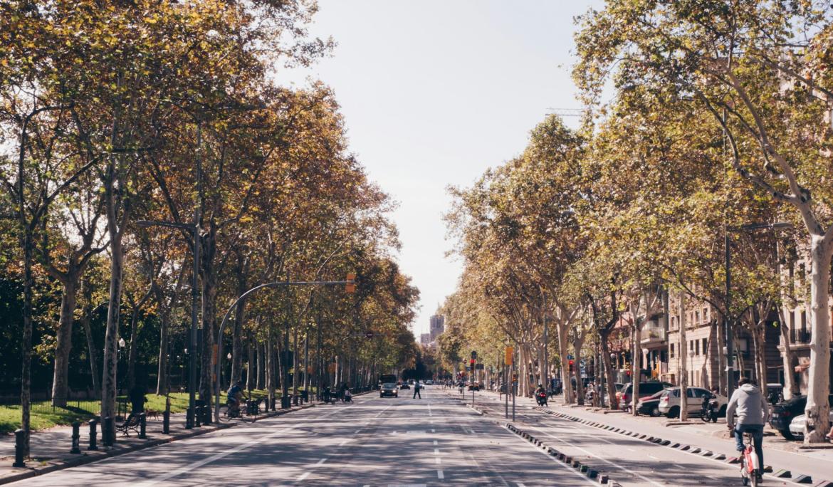 Pasea por Barcelona y adéntrate en sus calles / Foto: Joakim Aglo vía Unsplash