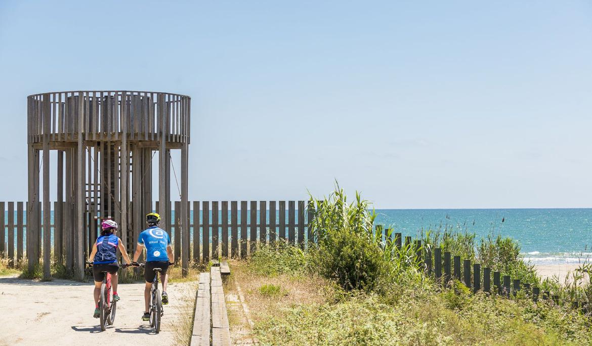 The natural spaces of the delta are a biodiversity reserve of international importance / Photo: O.Rodbag / Archive: Turisme Baix Llobregat
