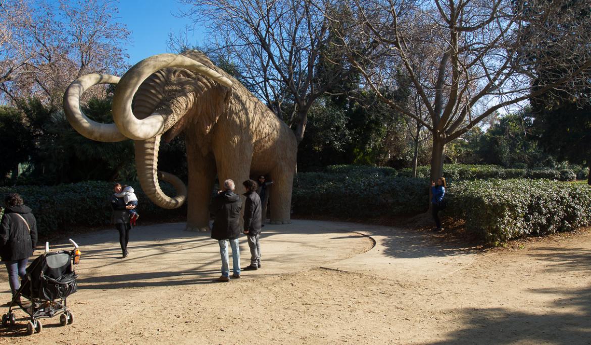 El Parque de la Ciutadella es uno de los lugares más emblemáticos de Barcelona / Foto: Barcelona.cat