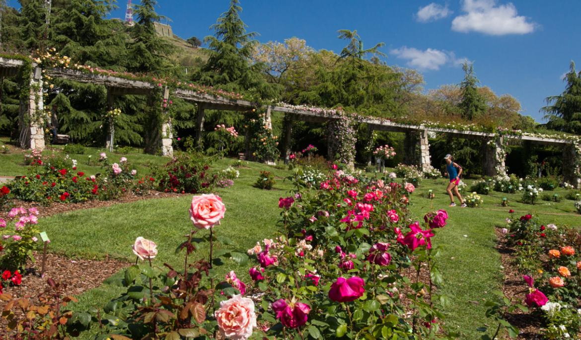 El Parc de Cervantes destaca pels seus espectaculars rosers / Foto: Barcelona.cat