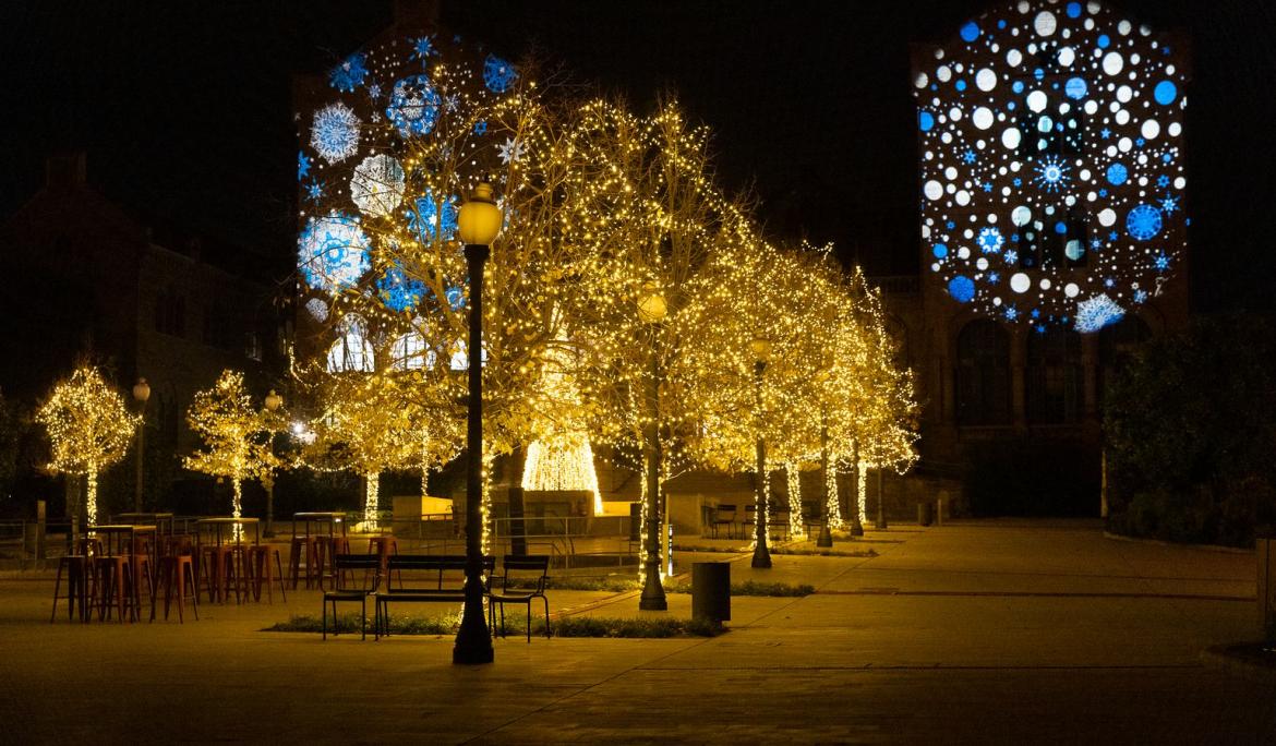Una de les grans novetats d’aquest any és l’ampliació de la decoració nadalenca a zones fora del centre de Barcelona / foto: barcelona.cat