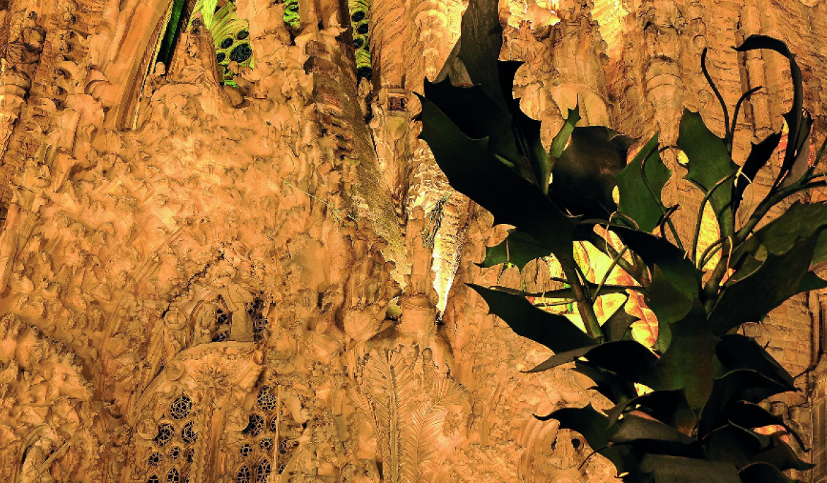 Gaudí was deeply inspired by nature for the design / Photo: barcelona.cat
