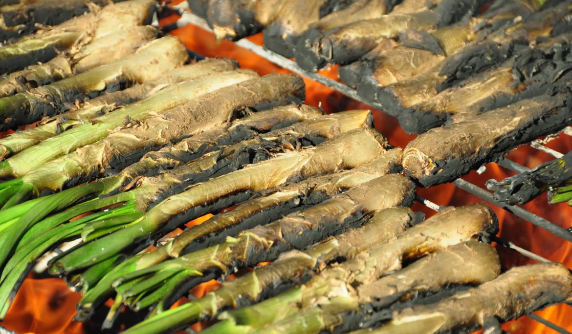 Un bon número de calçots posats a la barbacoa mentre es van torrant per les flames.