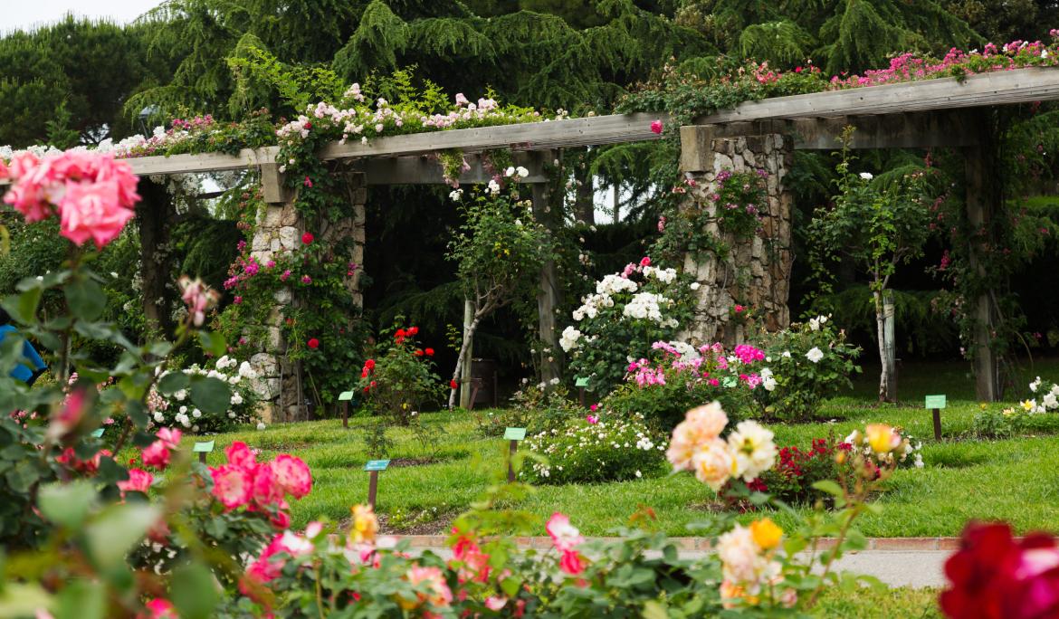 Imatge del parc de Cervantes a Barcelona a la primavera ple de flors