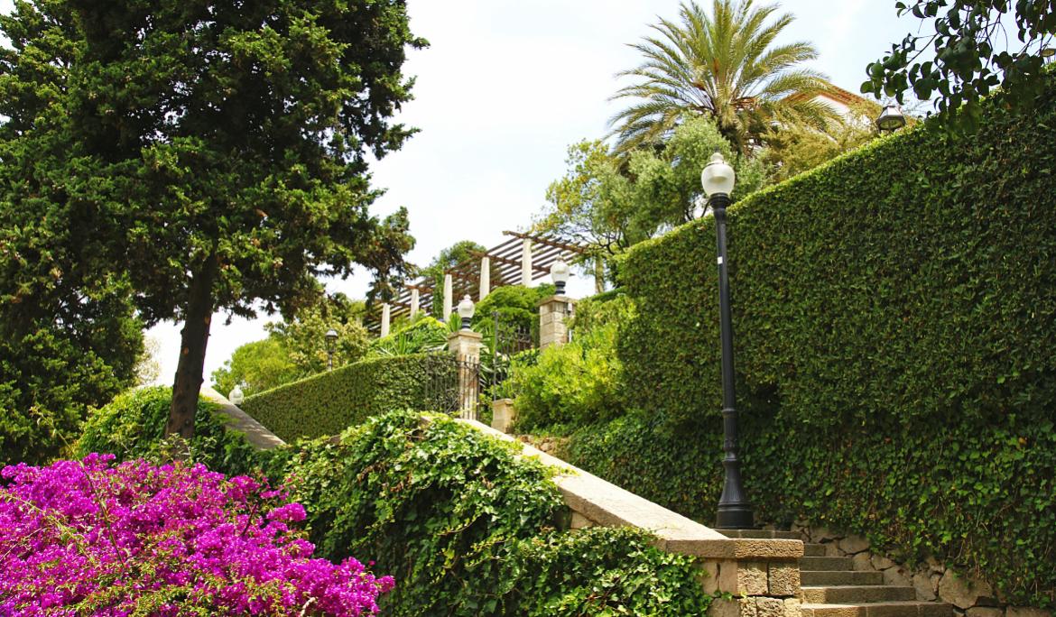 Imatge d'una escala dels jardins del teatre grec plena de flors i envoltada de vegetació.