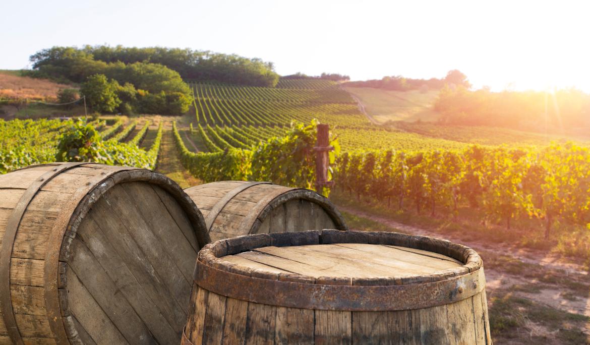 Imagen de un viñedo con la caída del sol al fondo. EN primer plano se ven tres barriles de vino.