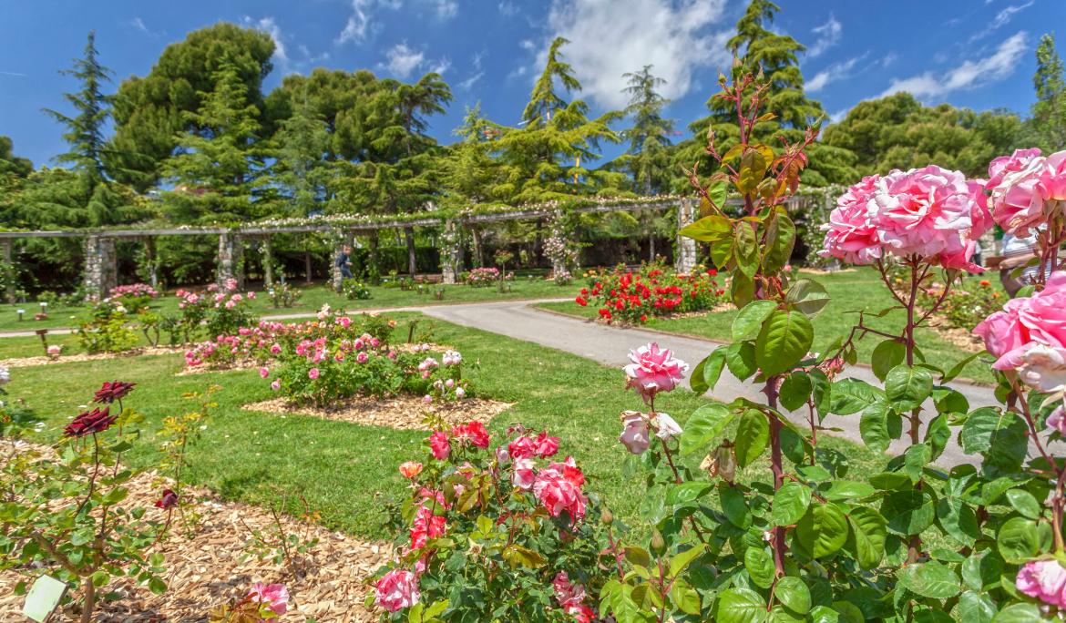 Imagen del parque Cervantes en flor