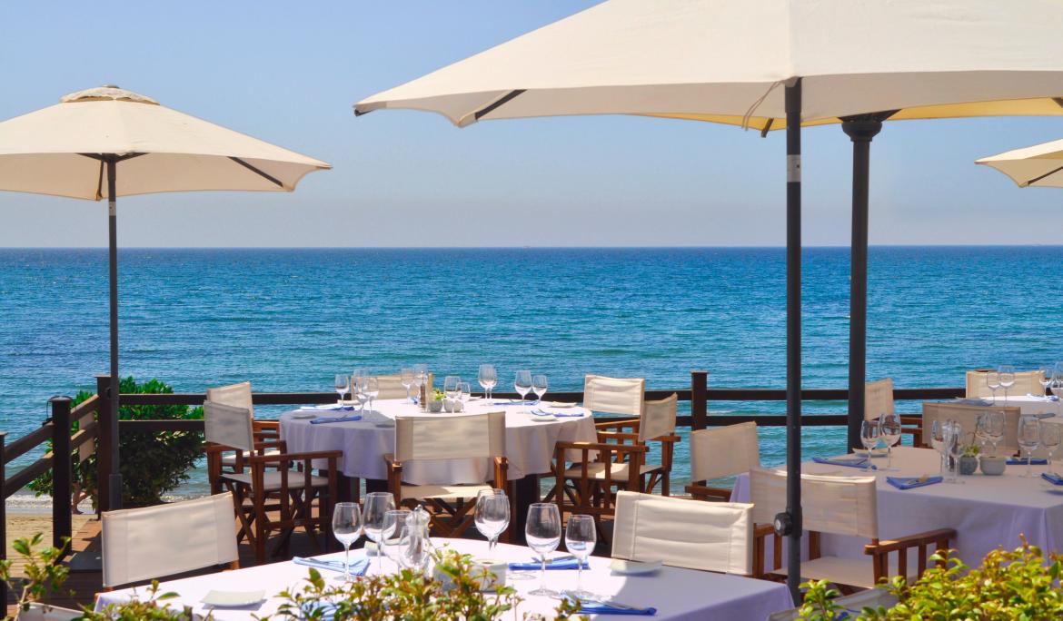 Image of an outdoor terrace of a bar or restaurant in Barcelona, with tables and chairs set up for dining outdoors in summer.