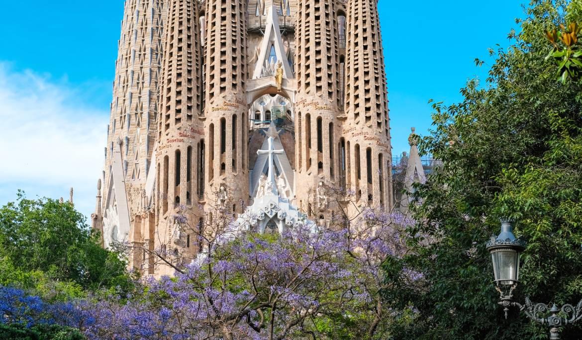 Imatge de la façana frontal de la Sagrada Família tapada per arbres florits.