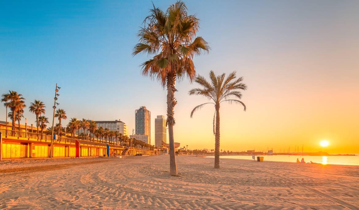 Imagen de Barcelona en verano con una playa al atardecer con palmeras y chiringuitos.
