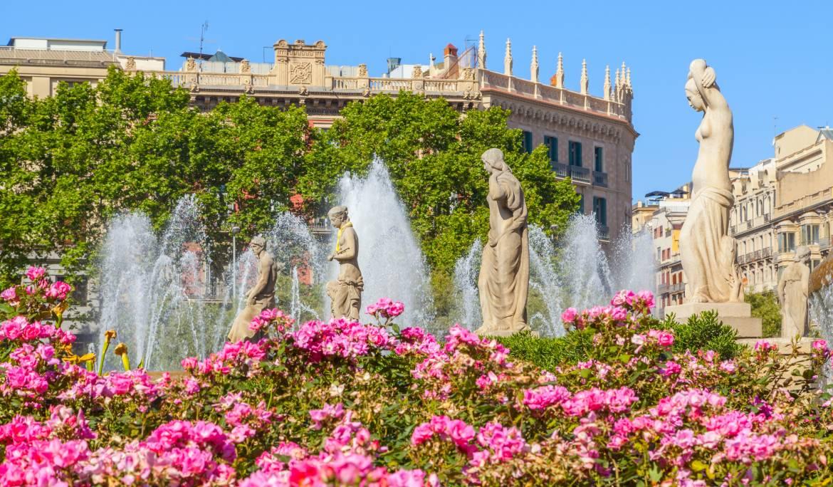 Imagen de Barcelona en primavera con un jardín lleno de flores rosas y fuentes.