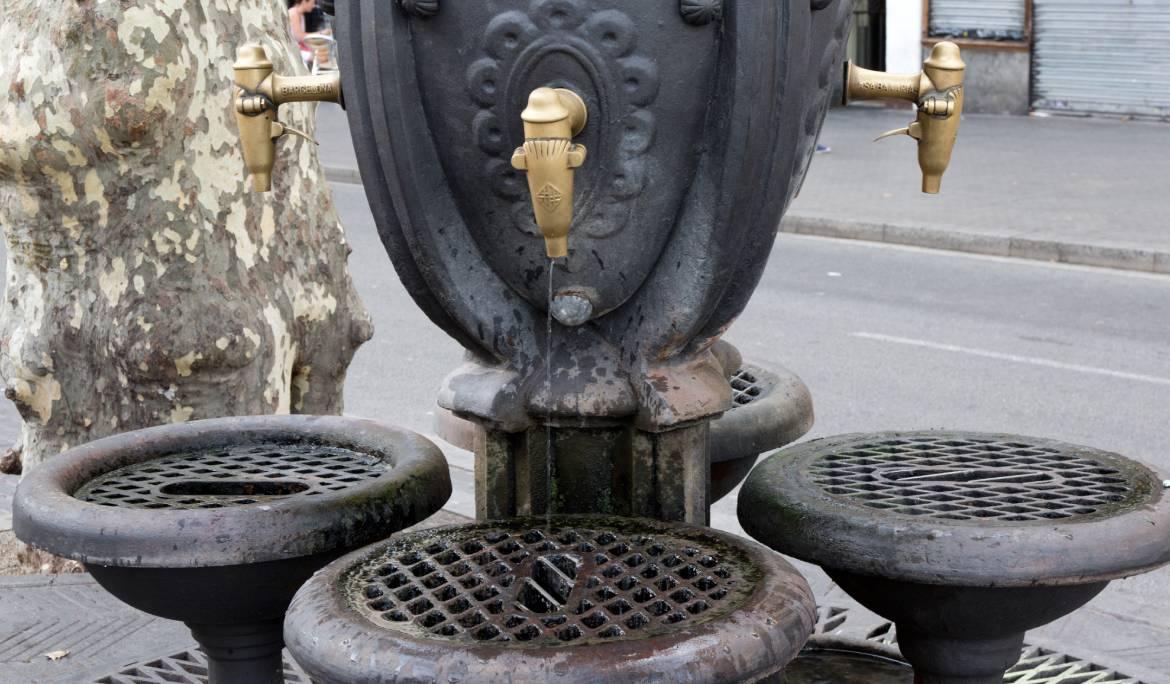 Font de Canaletes a Barcelona
