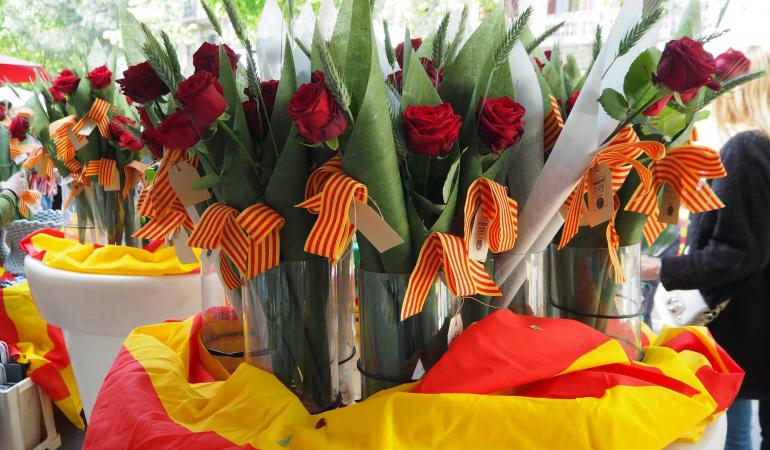 Roses / Photo: Teresa Grau (CC)