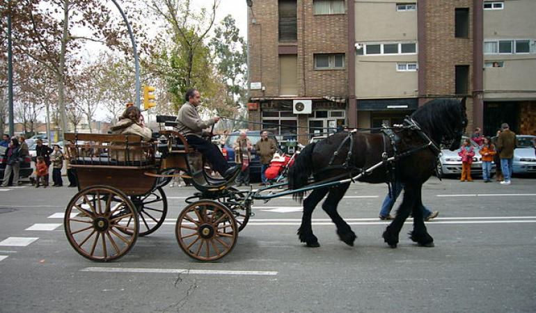 Una carroza con caballos en plena calle del barrio de Sant Antoni