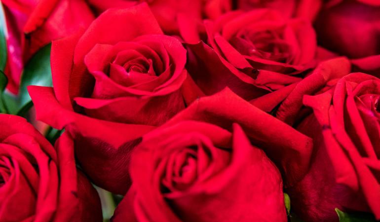 Sant Jordi, una festivitat amb molta història