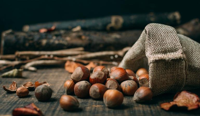 Enjoy La Castanyada 2023 in Barcelona!