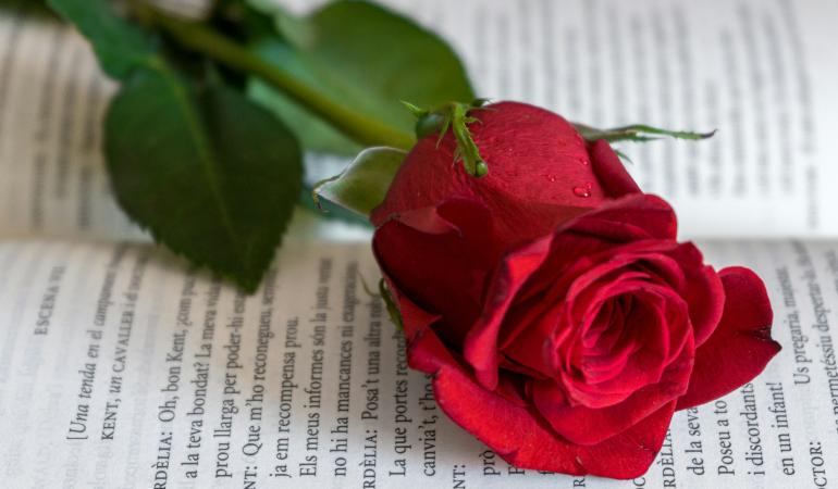 What is Sant Jordi and why is it celebrated on the same day as World Book Day?