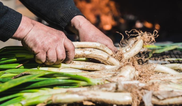 Calçotades a Barcelona: què són, com es mengen i on fer-les a l’aire lliure