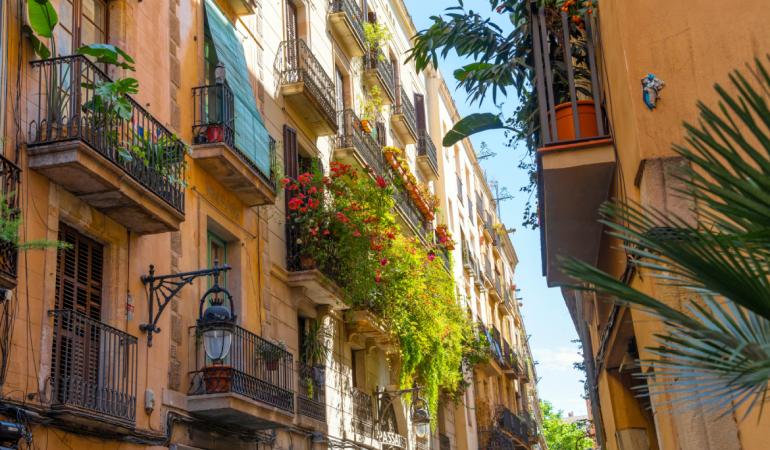Imatge d'un carrer florit a primavera ideal per si busques allotjament a Barcelona.