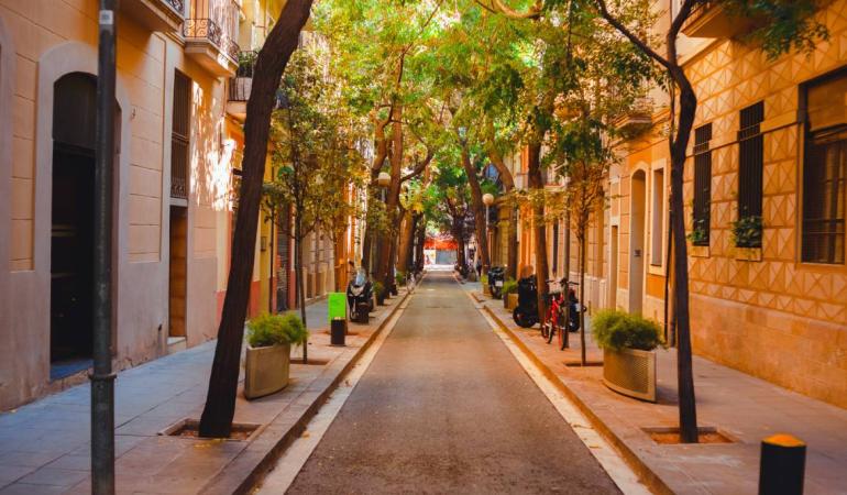 Image of a narrow street in Barcelona, with trees and flower pots.
