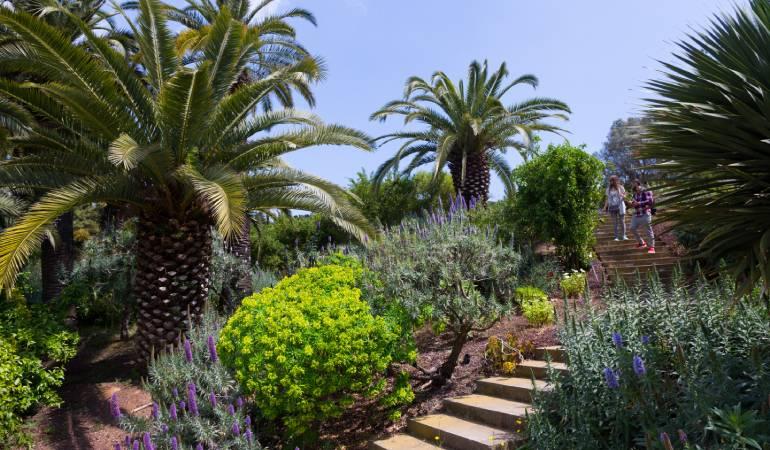 Imagen del jardín botánico de Montjuïc
